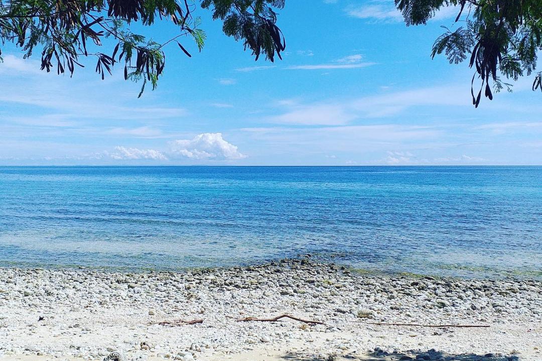Photo of Others in Oslob
