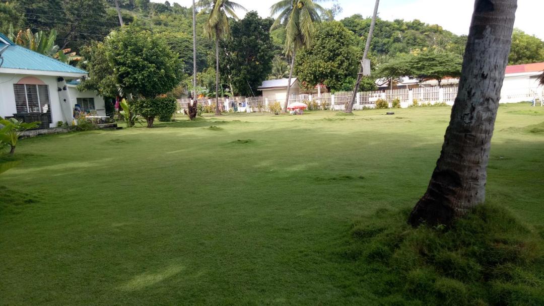 Photo of Others in Oslob