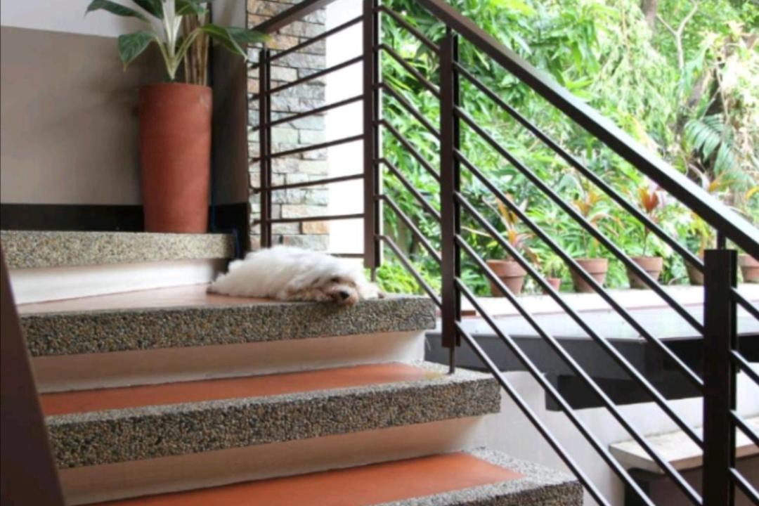 Photo of Patio Balcony in Valenzuela