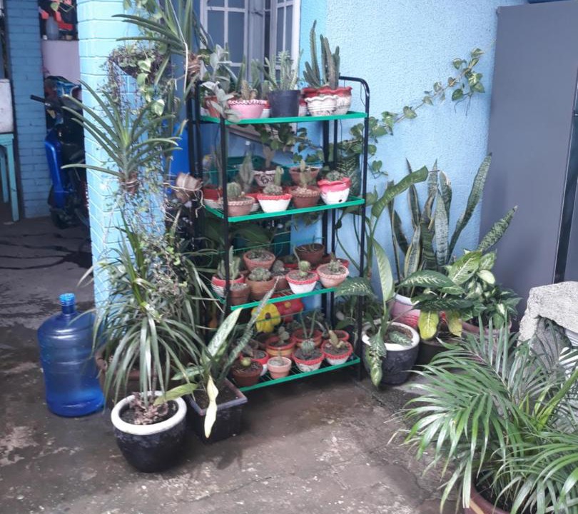 Photo of Outdoor in San Juan
