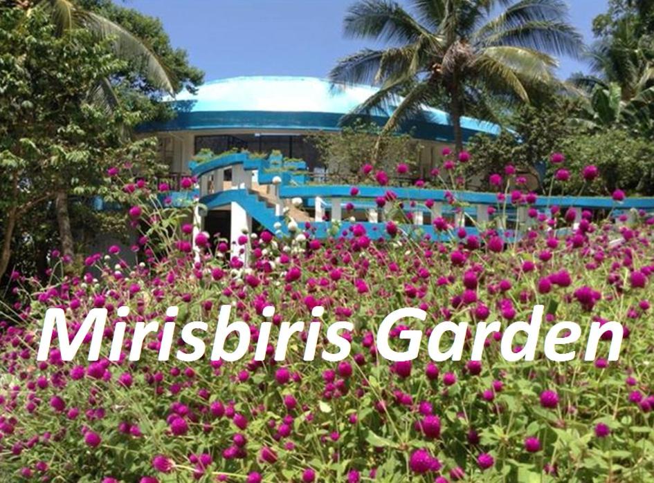 Photo of Outdoor in Santo Domingo