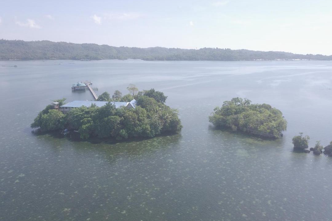 Photo of Others in Hinatuan