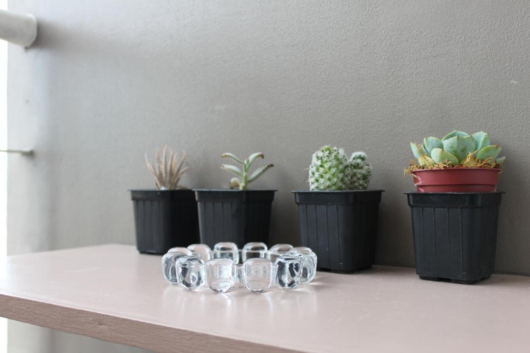 Photo of Others in Pio del Pilar