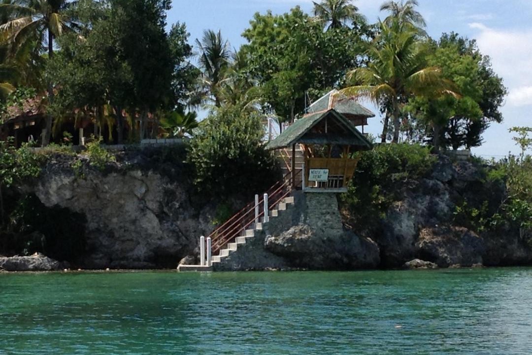 Photo of Others in Moalboal