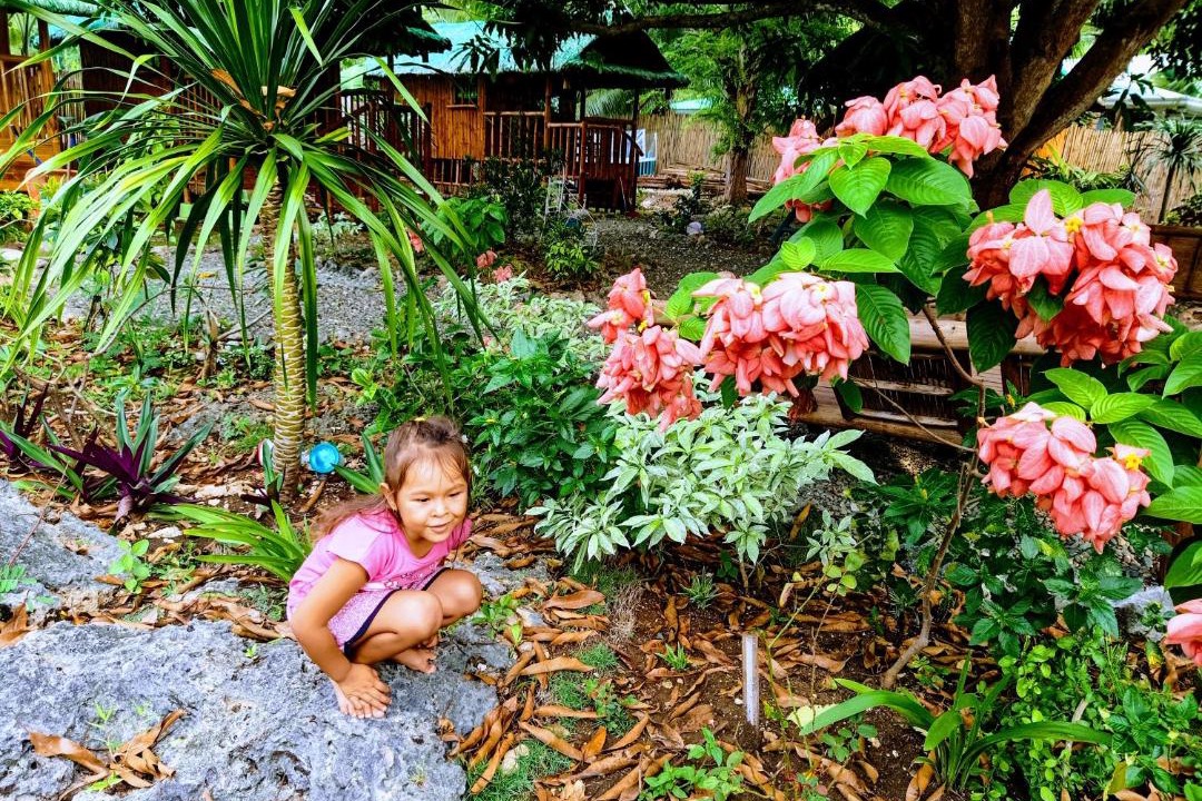 Photo of Others in Moalboal