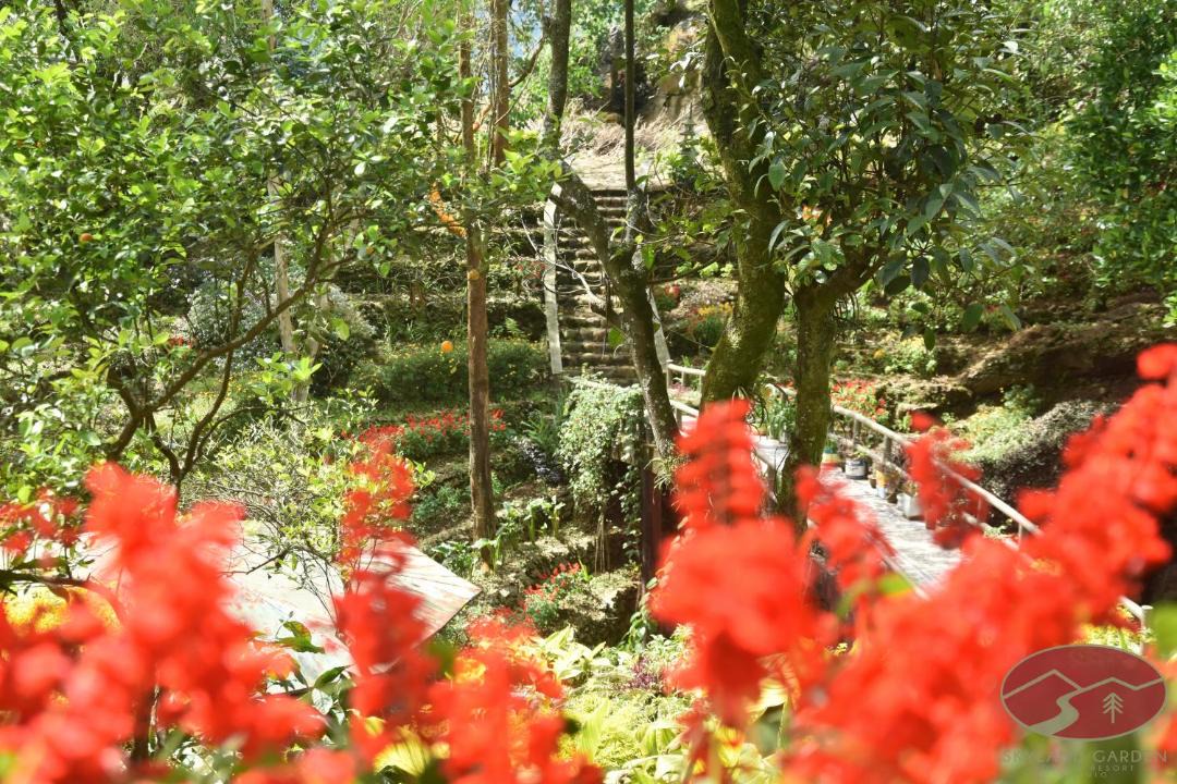 Photo of Others in Baguio