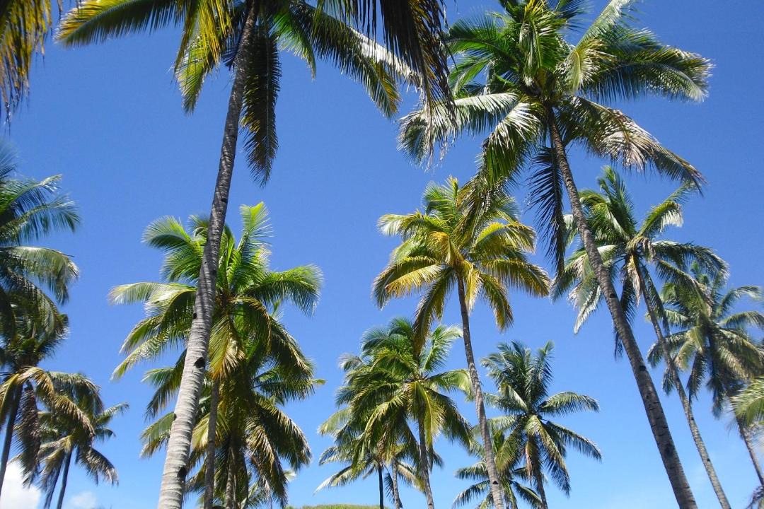 Photo of Outdoor in Candijay