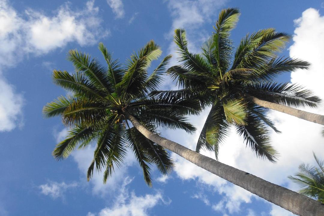 Photo of Outdoor in Candijay