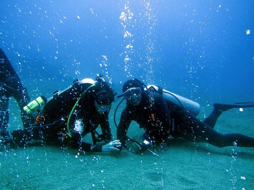 Photo of Others in Dauin