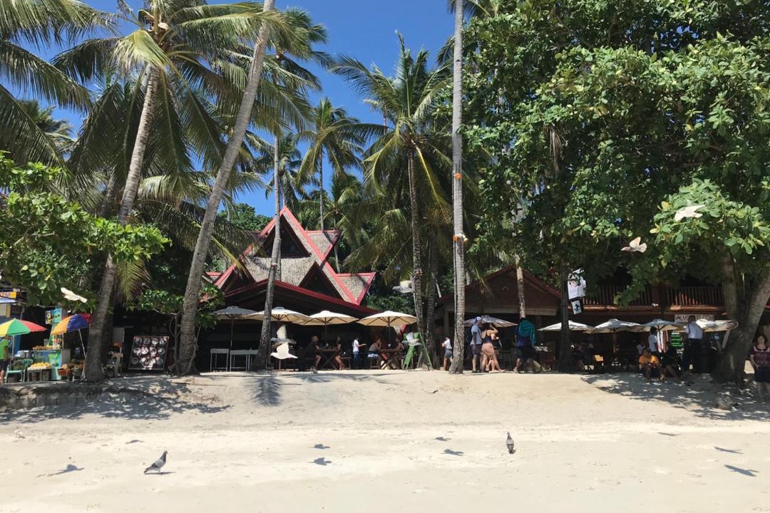Photo of Others in Panglao