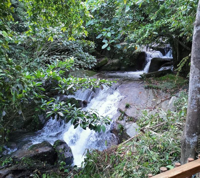Photo of Others in Ulu Telom