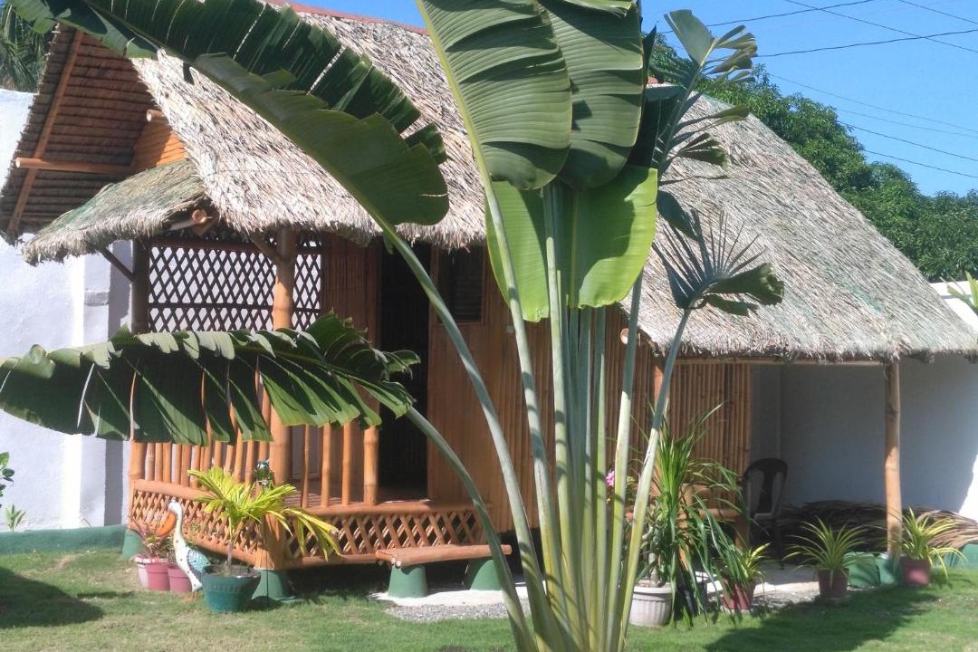 Photo of Others in Moalboal