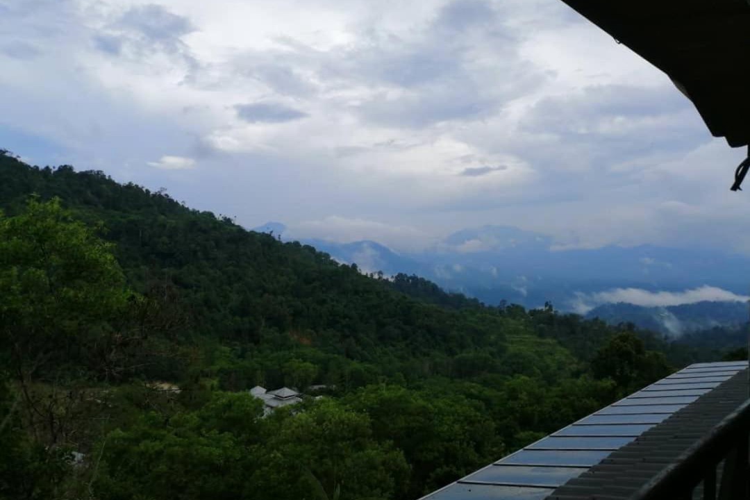 Photo of Others in Bukit Tinggi