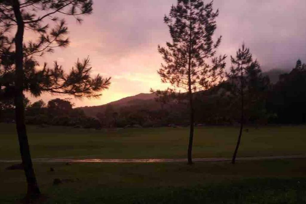 Photo of Others in Kundasang