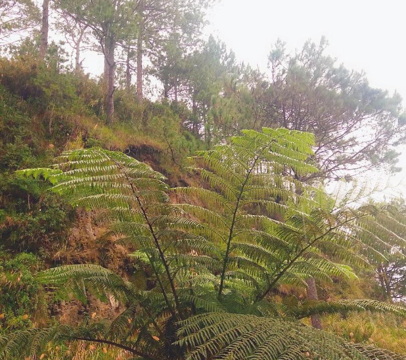 Photo of Outdoor in Sagada
