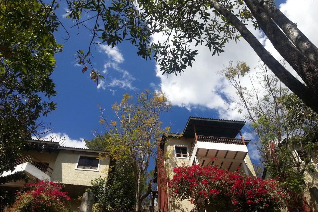 Photo of Others in Constanza