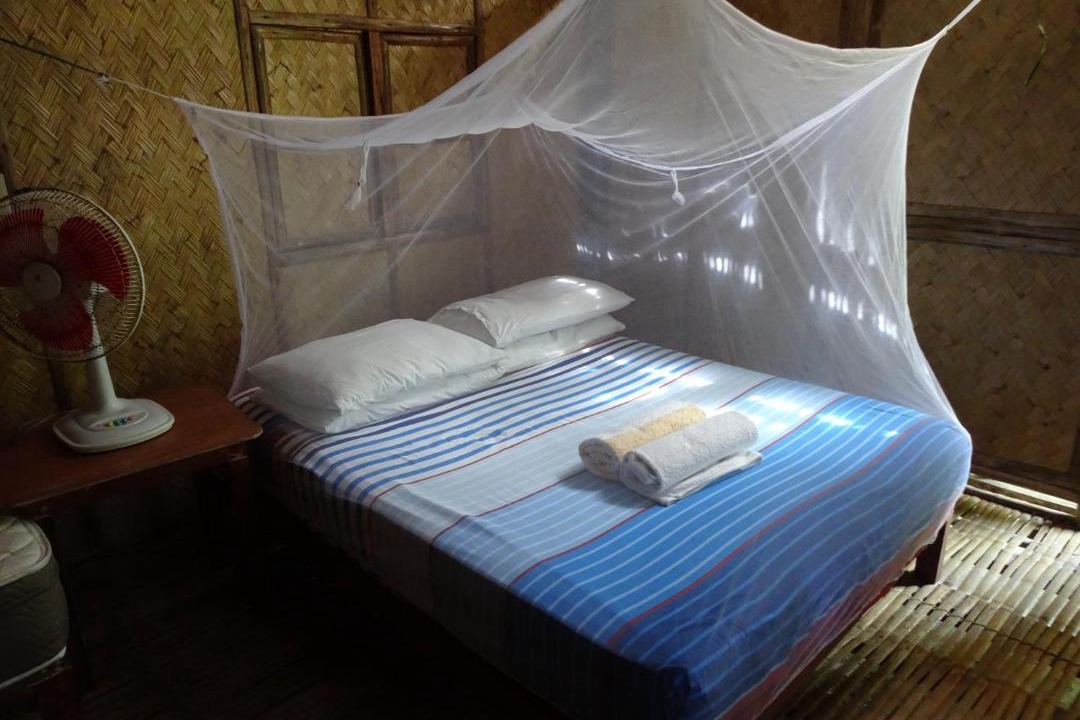 Photo of Others in Busuanga