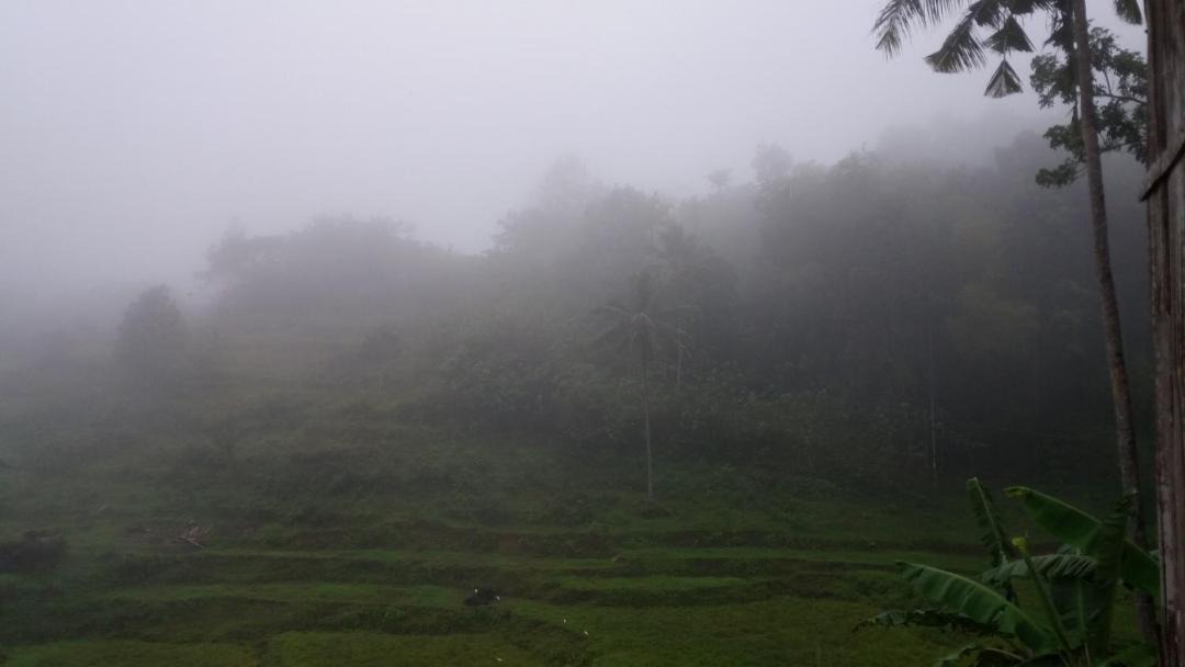 Photo of Others in Siquijor