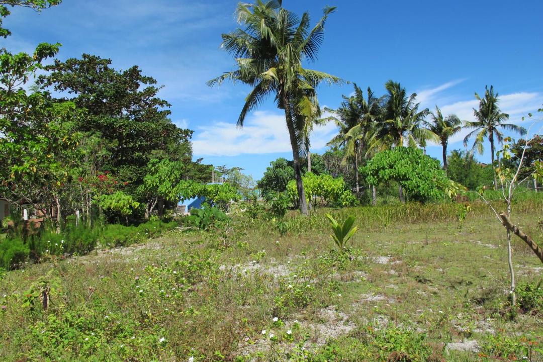 Photo of Others in Daanbantayan