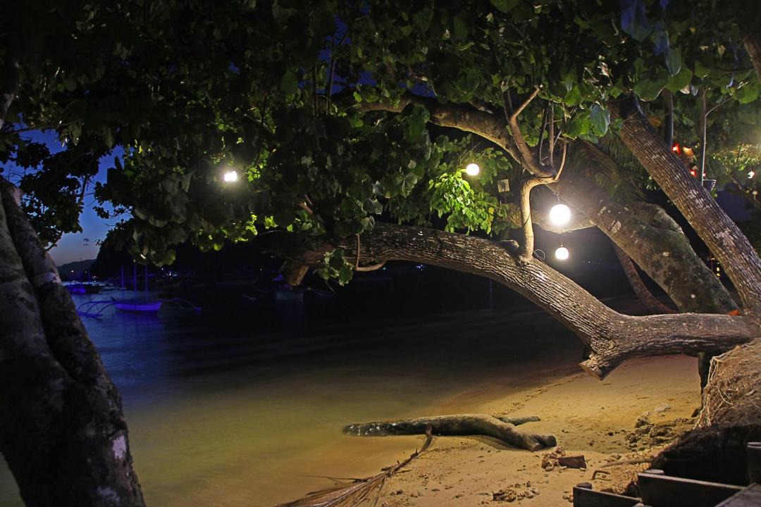 Photo of Others in El Nido