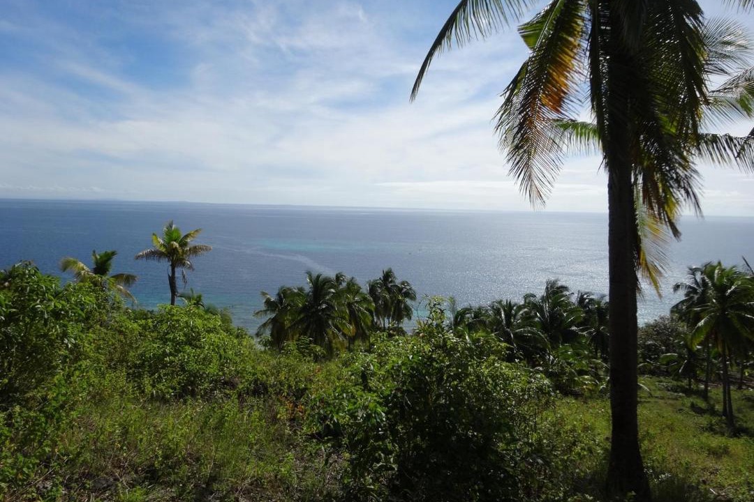 Photo of Others in Central Visayas