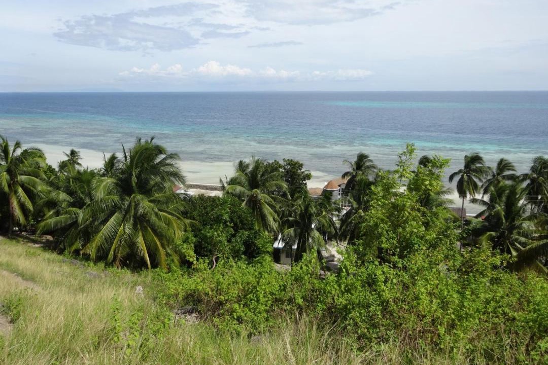 Photo of Others in Central Visayas