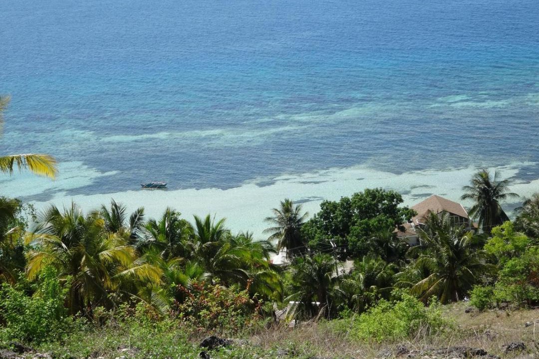 Photo of Others in Central Visayas