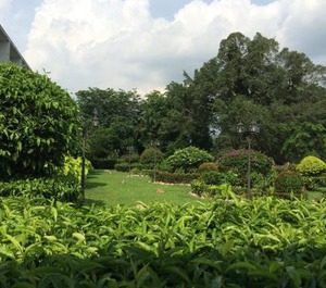 Hotel Johor 