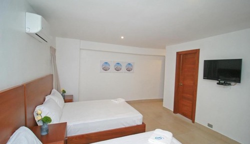 Basic Double Room