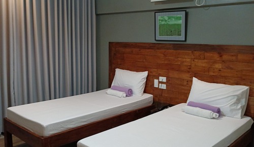 Standard Twin Room, Mountain View