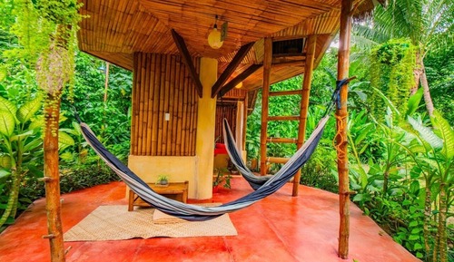 Tree House, Garden View