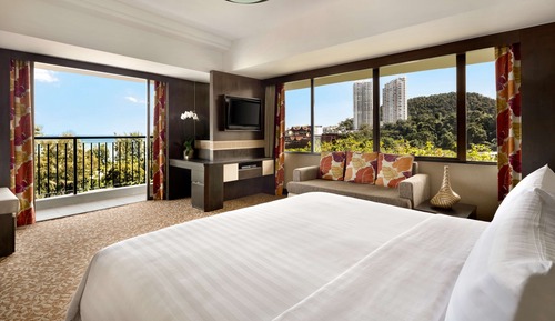 Executive Suite, 1 King Bed