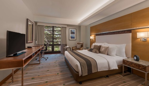 Premier Room, 1 Double Bed, Non Smoking