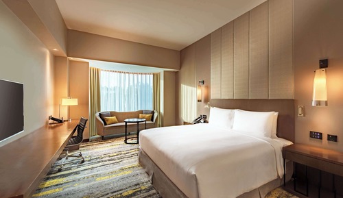 Room, 1 King Bed, Accessible