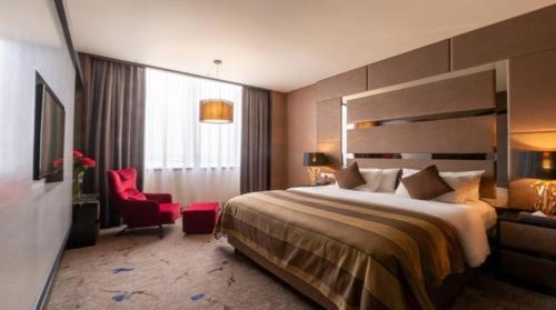Destiny Suite