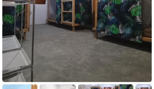 6-Bed Mixed Dormitory Room