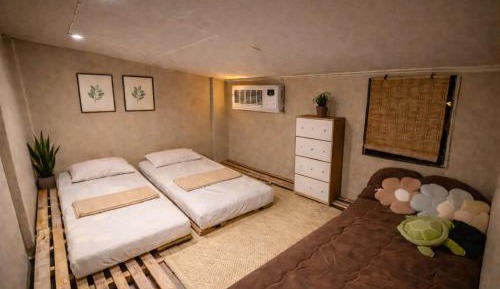 4-Bed Mixed Dormitory Room