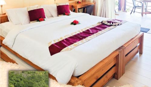 Deluxe Cabana