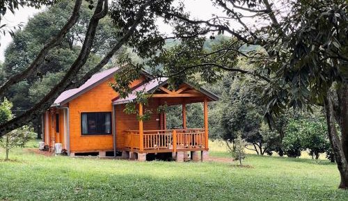 Two-Bedroom Chalet