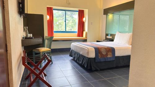 Queen Room with Roll-In Shower - Mobility Accessible - Non-Smoking