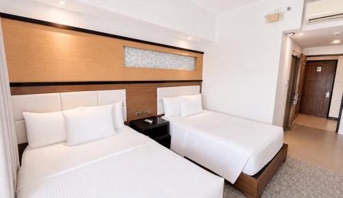 Deluxe Double or Twin Room with City View