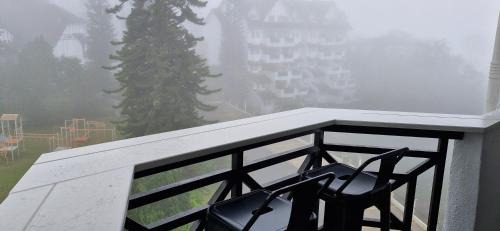 Two-Bedroom Apartment with Mountain View