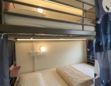 Bed in 6-Bed Dormitory Room