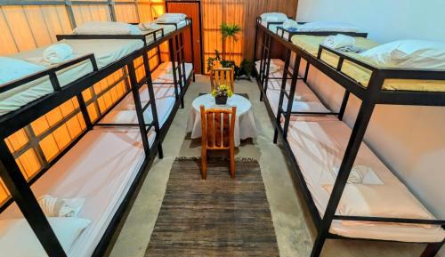 Mixed Dormitory Room