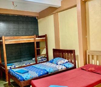 Bunk Bed in Mixed Dormitory Room