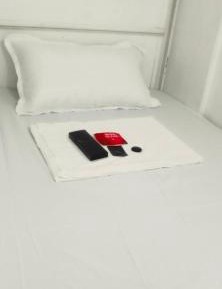 Bunk Bed in Mixed Dormitory Room