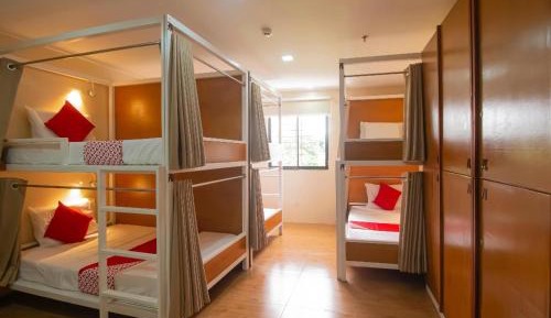 Bunk Bed in Mixed Dormitory Room