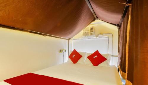 Bunk Bed in Mixed Dormitory Room