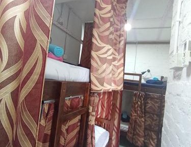 Bunk Bed in Female Dormitory Room  