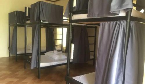 Bed in 6-Bed Female Dormitory Room